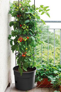 Doniczka na pomidory fi 295 TOMATO GROWER - antracytowy