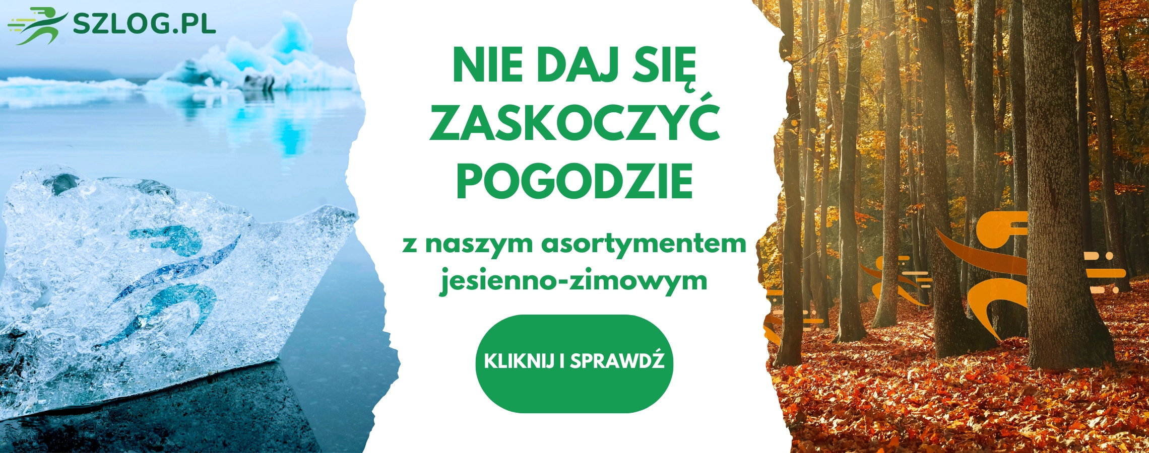 Asortyment jesienno-zimowy